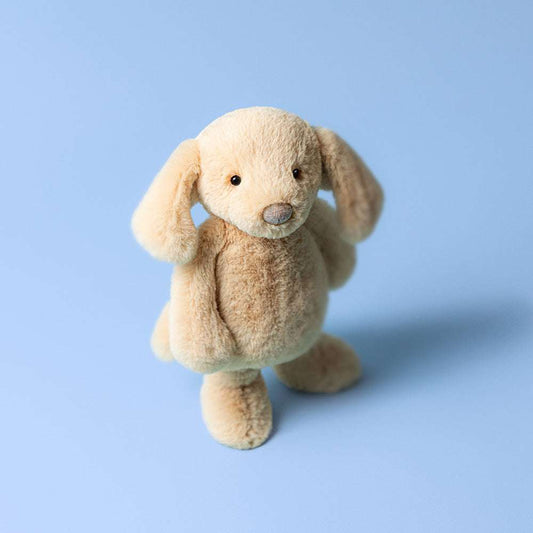 Bashful Luxe Puppy Orlando Original