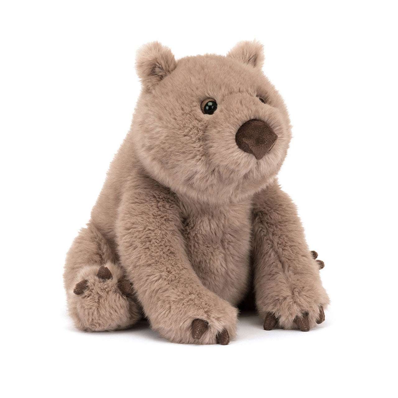 Wonda Wombat