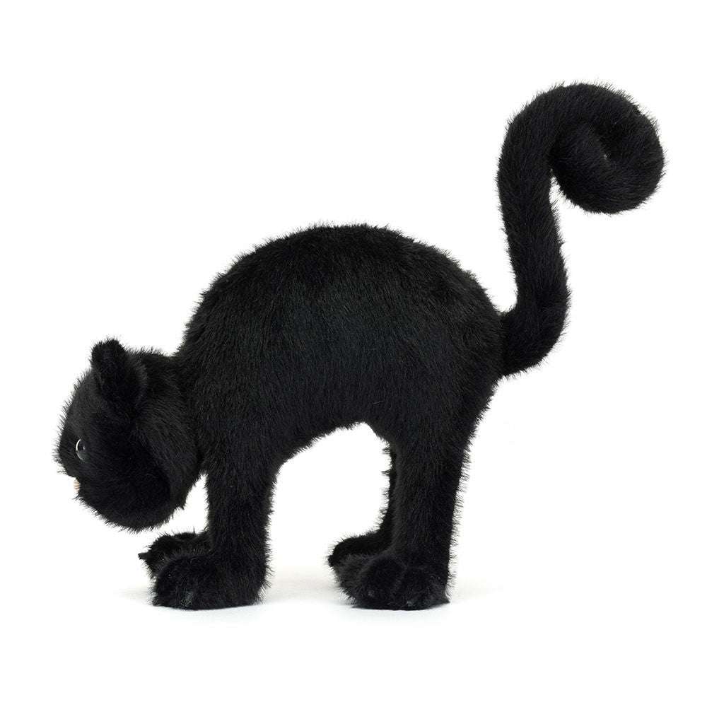 Spookipaws Cat
