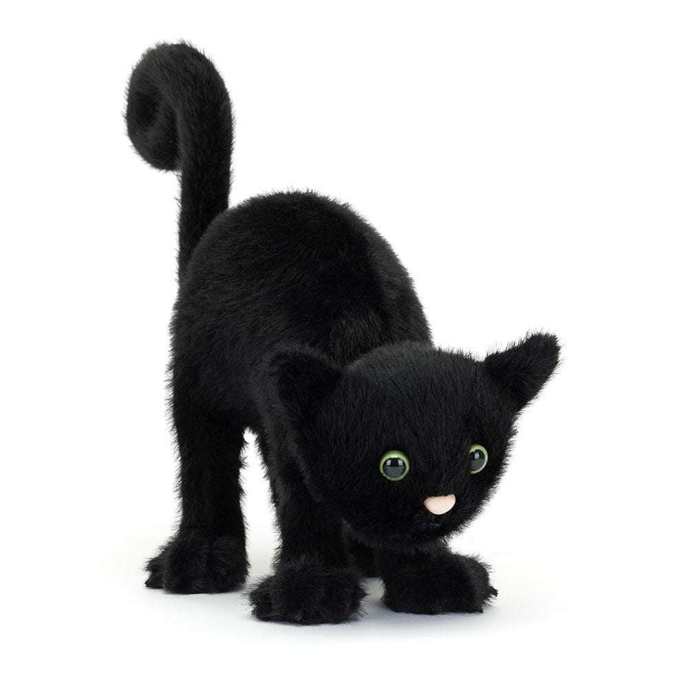 Spookipaws Cat